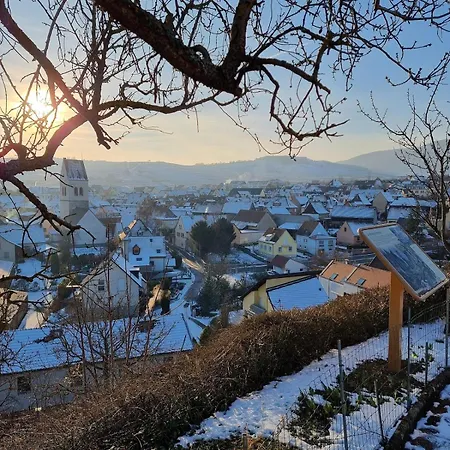 Lejlighed Cocon De Plumes Mittelwihr